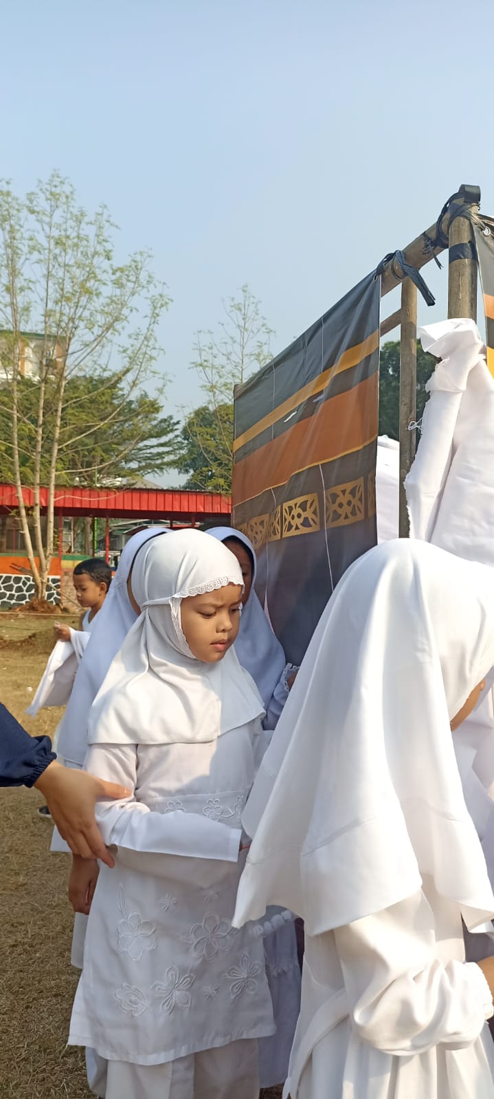 Wintry Mountain Landscape