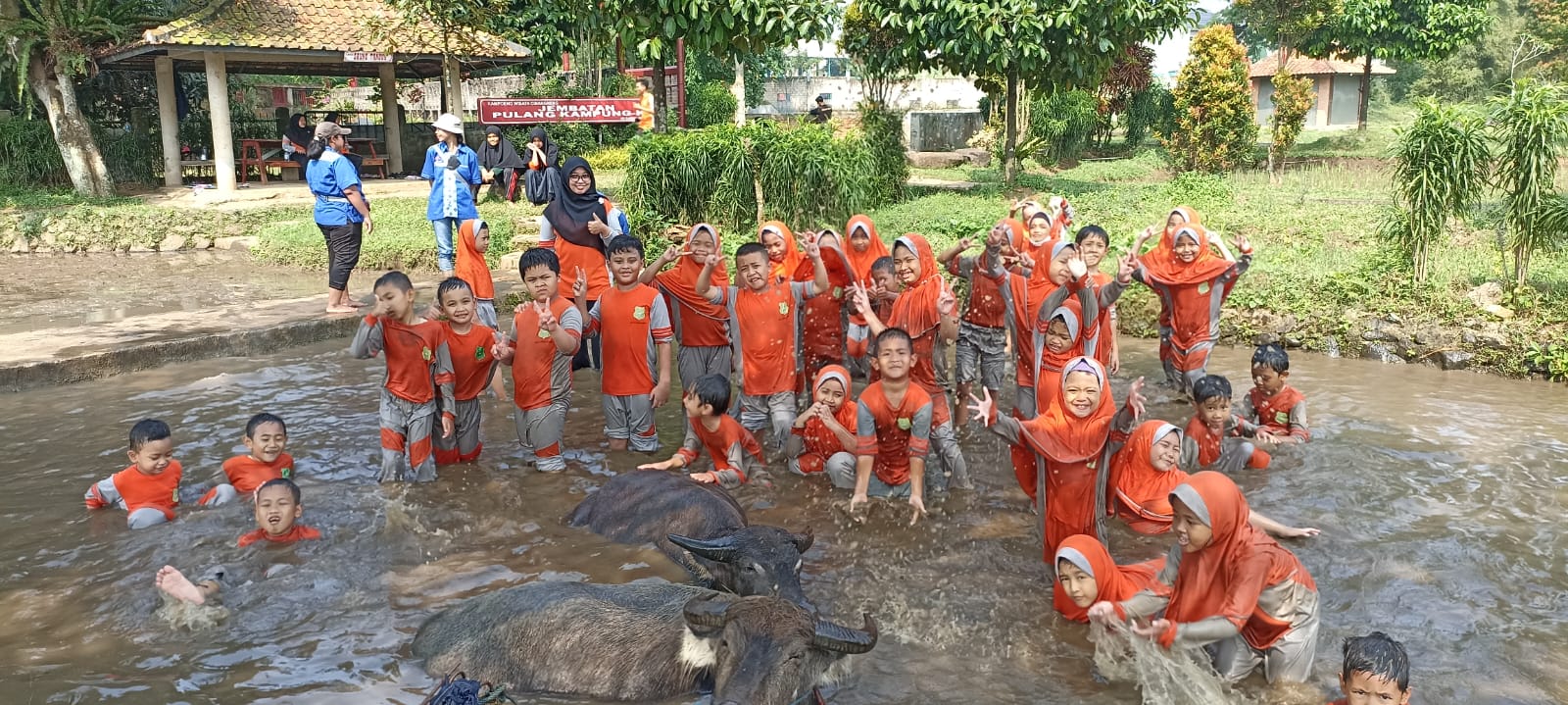 Wintry Mountain Landscape